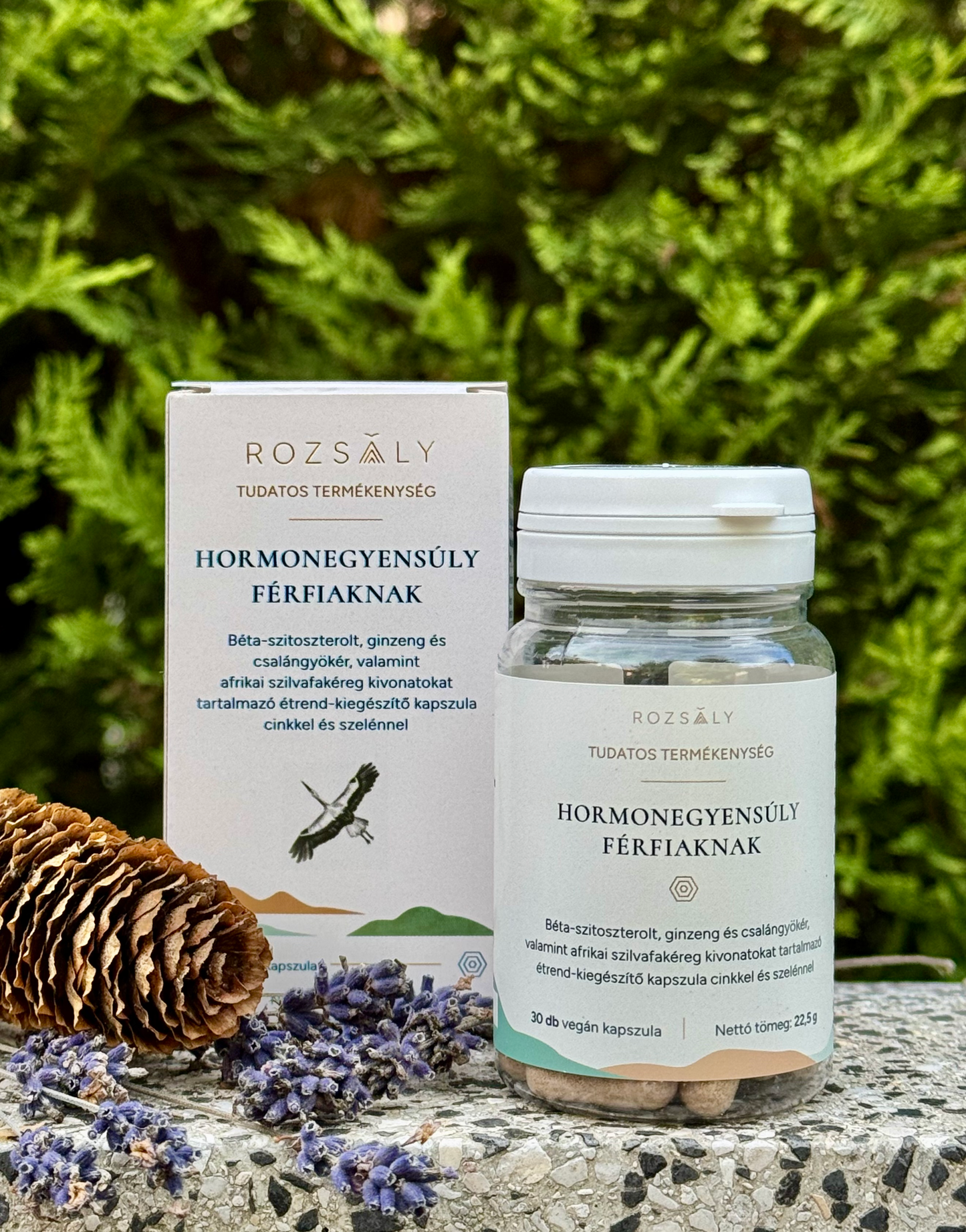 HORMONEGYENSÚLY FÉRFIAKNAK