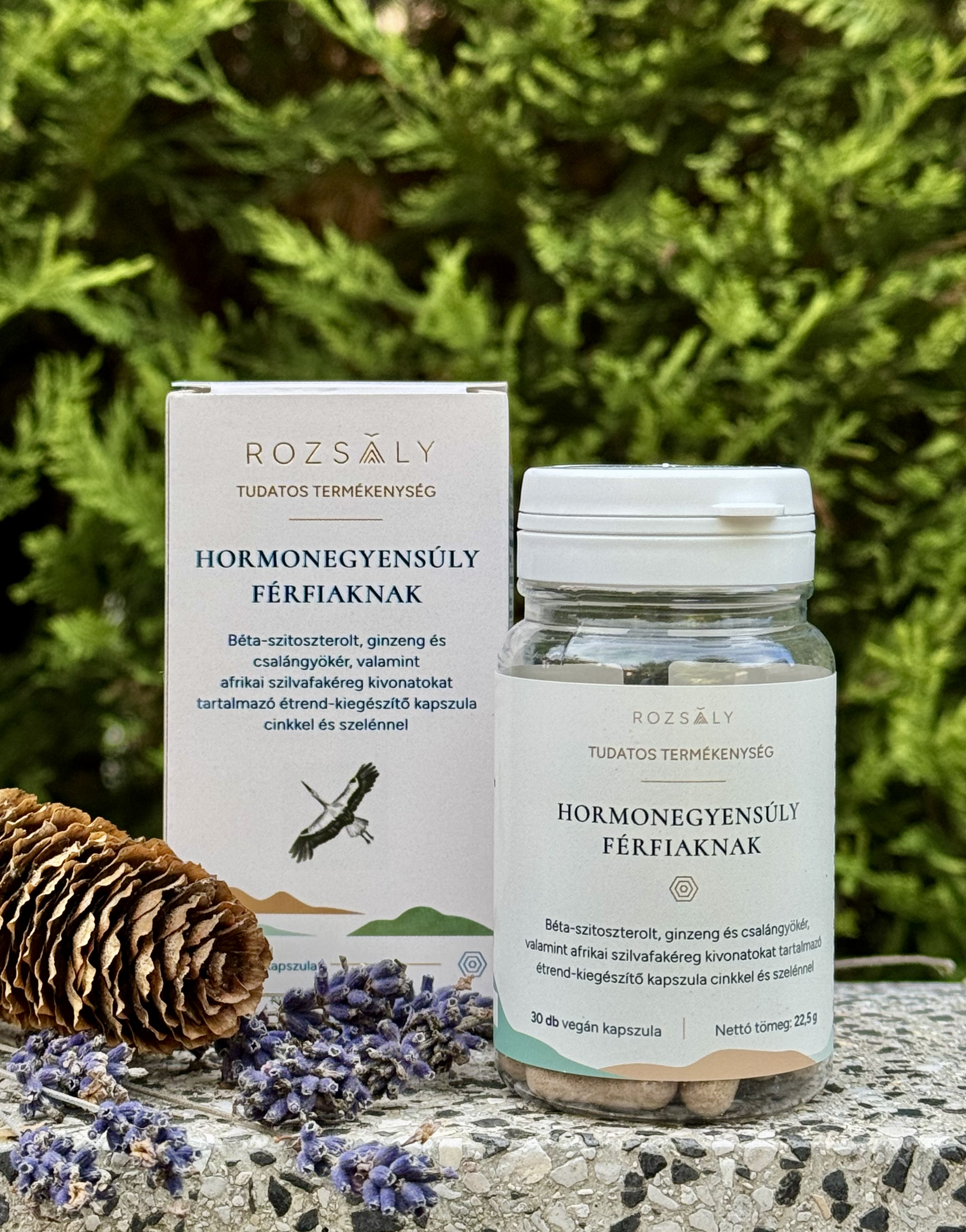 HORMONEGYENSÚLY FÉRFIAKNAK